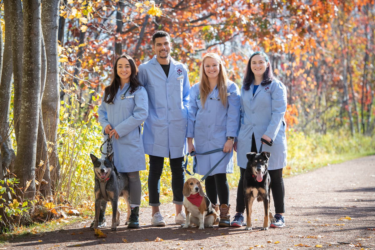 four veterinary medicine students on the confederation trail