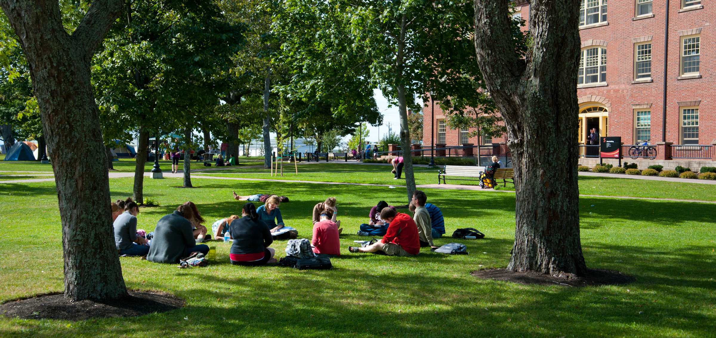 Students reading outside