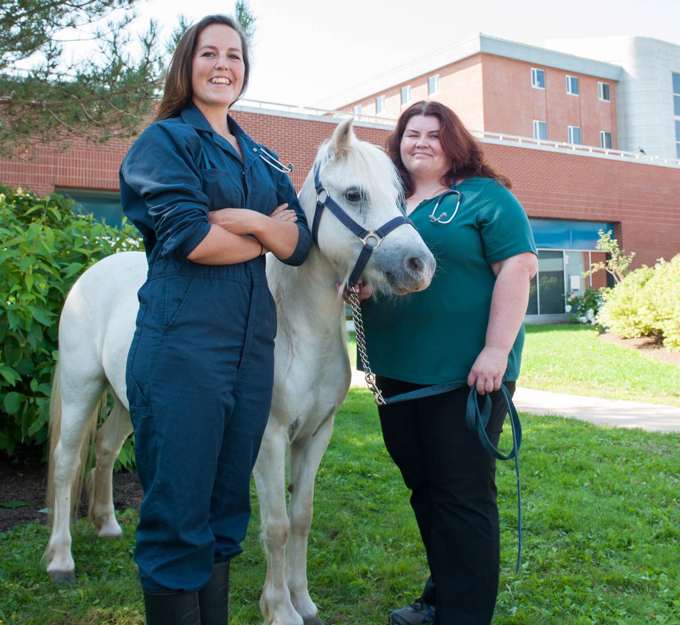 A student and veterinarian stand with a horse outside the AVC
