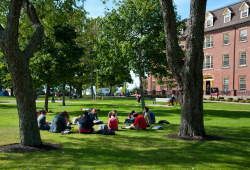 Students reading outside