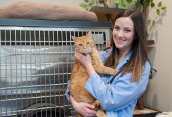 veterinary medicine student holding an orange cat
