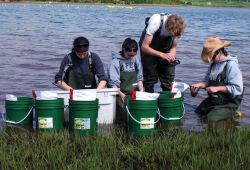 four students collecting aquatic samples
