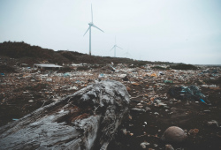 a garbage-covered shoreline with wind turbines in the background