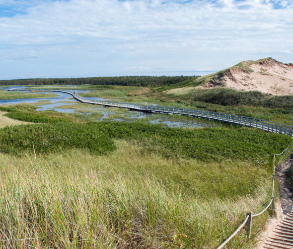 walking trail in Greenwich PEI