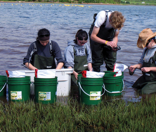 four students collecting aquatic samples