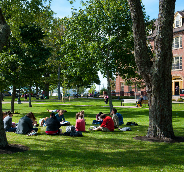 Students reading outside