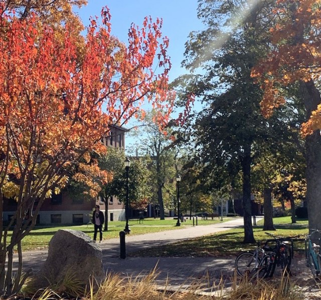 students in the BCA quadrangle